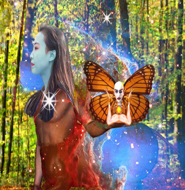 Magic Garden by Matthew Lacey